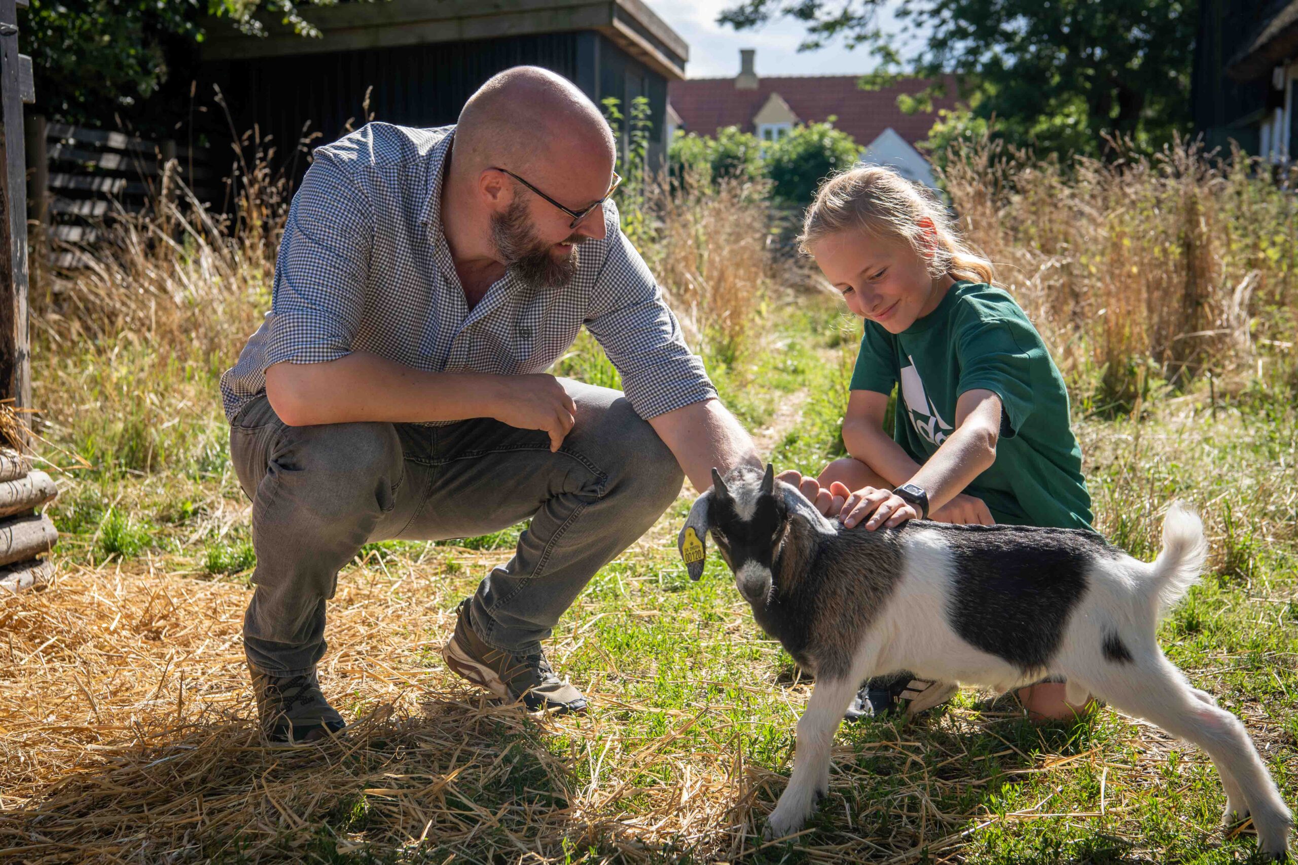 Hils på grisene og gederne