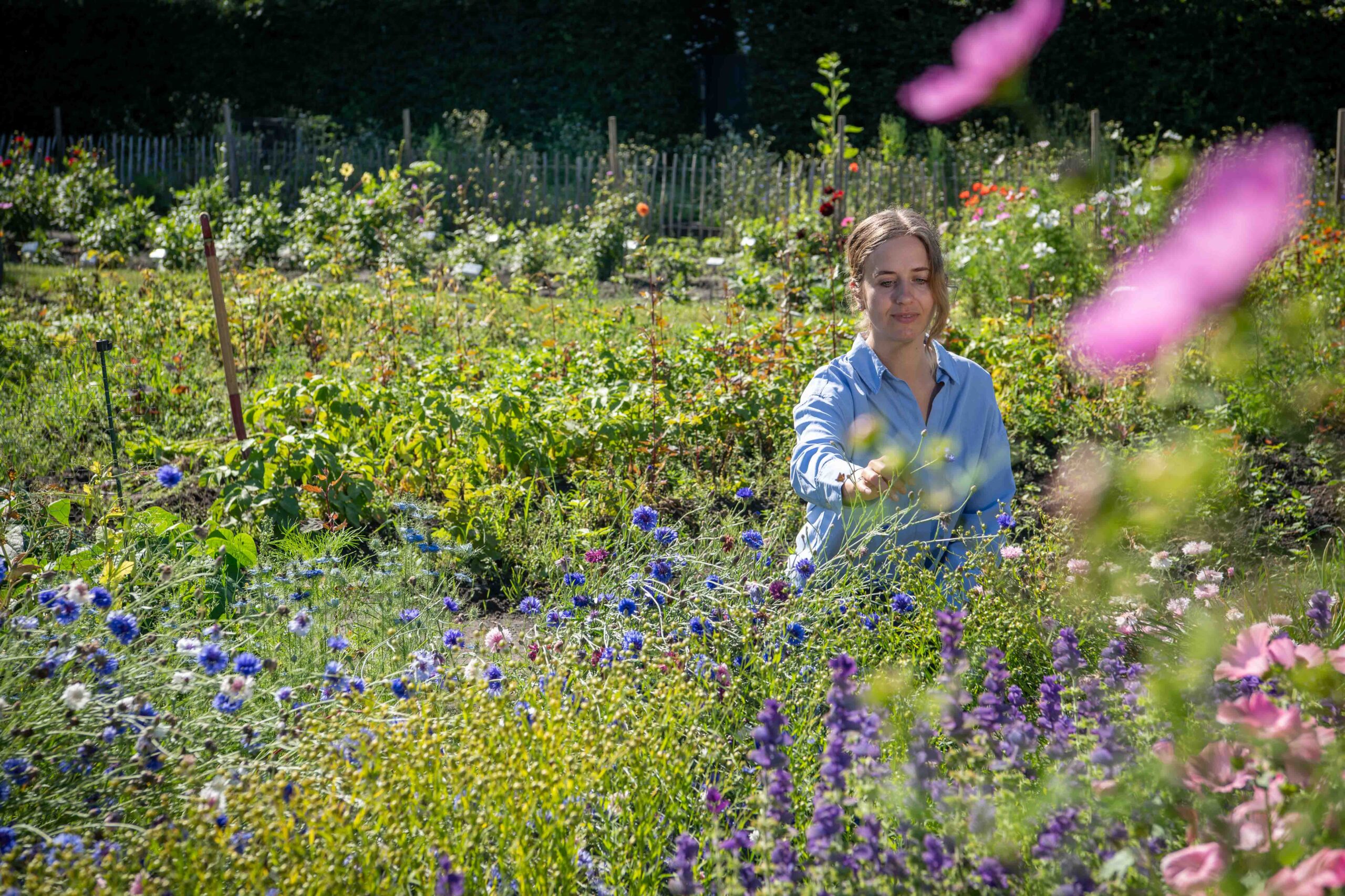 The museum's garden